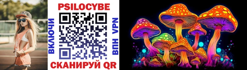 купить наркотик  shop Telegram  Псилоцибиновые грибы Cubensis  Кировград 