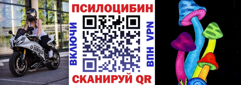 Галлюциногенные грибы Psilocybe Кировград